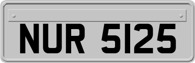 NUR5125