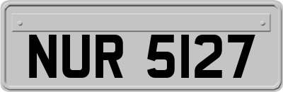 NUR5127