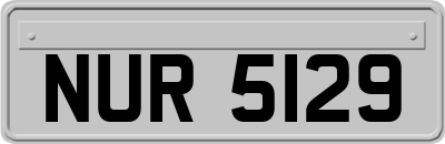NUR5129
