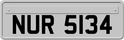 NUR5134