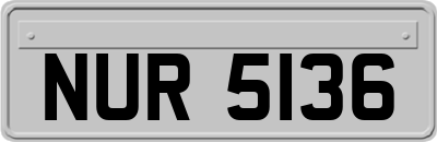 NUR5136