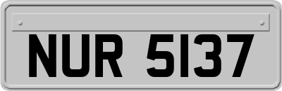NUR5137