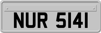 NUR5141