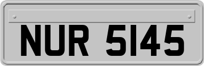 NUR5145