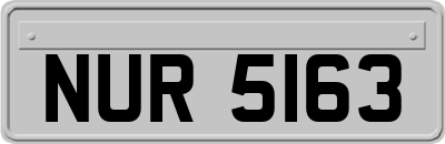 NUR5163