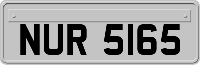 NUR5165