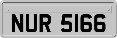 NUR5166