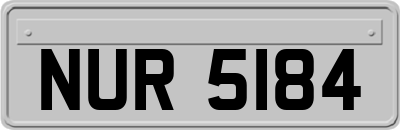 NUR5184