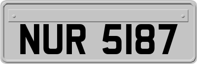 NUR5187