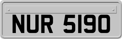 NUR5190