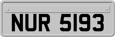 NUR5193