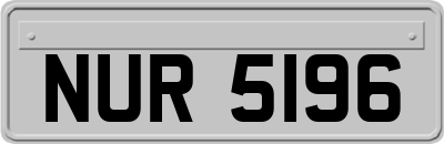 NUR5196