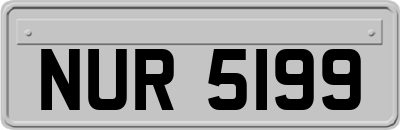 NUR5199