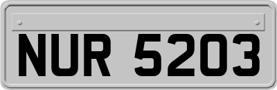 NUR5203