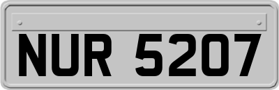NUR5207