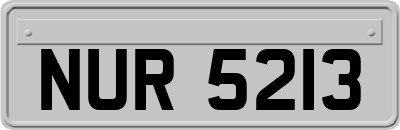 NUR5213