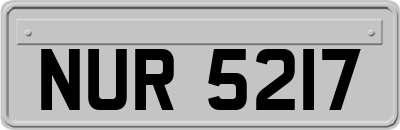 NUR5217