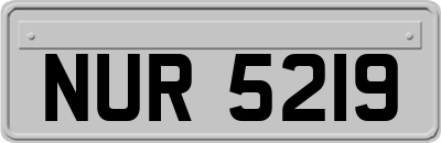 NUR5219
