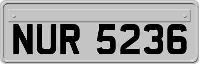 NUR5236