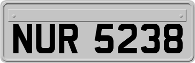 NUR5238