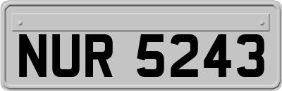 NUR5243