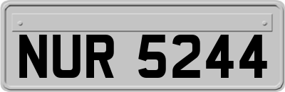 NUR5244