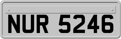 NUR5246