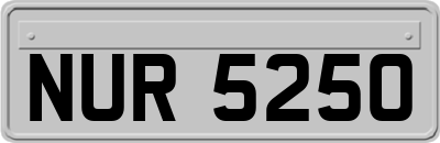NUR5250
