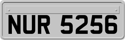 NUR5256