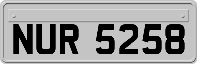 NUR5258