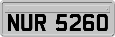 NUR5260