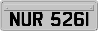 NUR5261