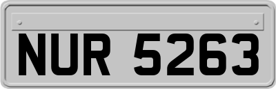 NUR5263