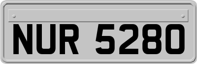 NUR5280