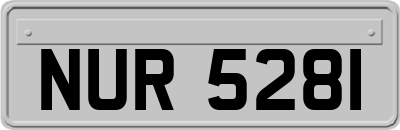 NUR5281