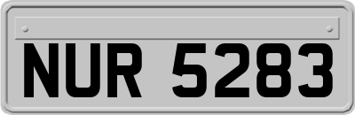 NUR5283