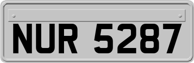 NUR5287