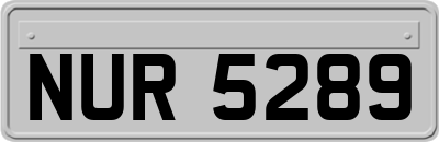 NUR5289