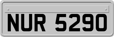 NUR5290