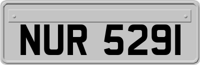 NUR5291