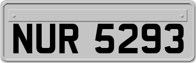 NUR5293