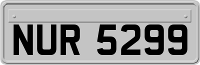 NUR5299