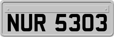 NUR5303