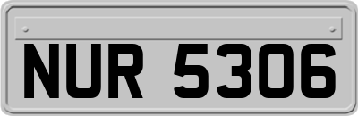 NUR5306