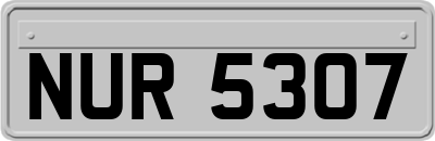 NUR5307