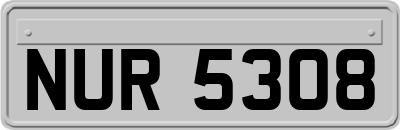 NUR5308