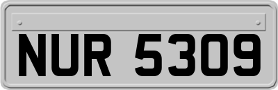 NUR5309