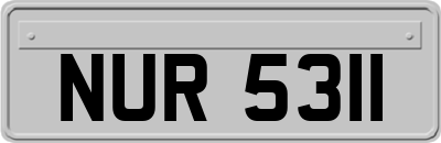NUR5311