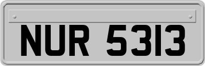 NUR5313
