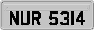 NUR5314